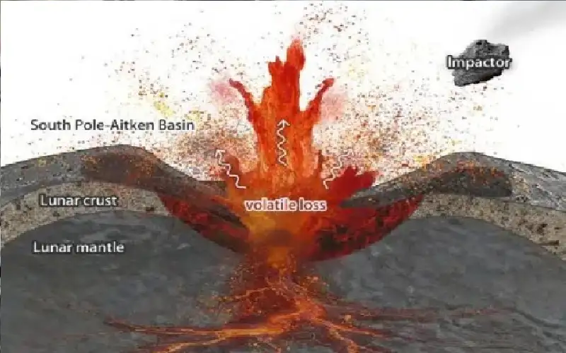 حل لغز حير العلماء 60 عاما..