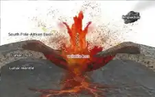 حل لغز حير العلماء 60 عاما..