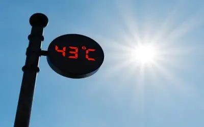 جولات ميدانية مثمره .. أم سرح