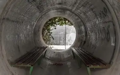 الأردن.. حالات تسمم بسبب تناول الفطر