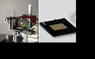 ارتفاع أسعار الزيوت عالميا .. وتوقع