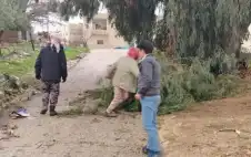 زراعة strongالكركstrong تتعامل مع حالات سقوط