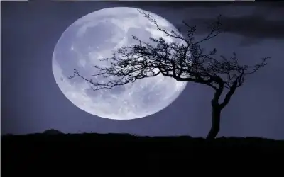 مسلسلات وأفلام لا تشاهدونها في رمضان..