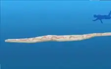 صياد القروش المرعب.. اكتشافات جديدة عن