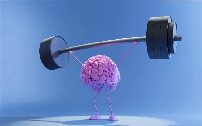 جزء معروف في الدماغ يحافظ على