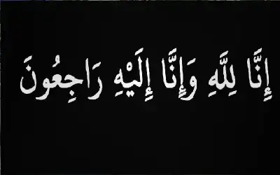نشأة وتطور المجالس التشريعية والنيابية في