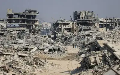 استرالية تكتشف أفعى سامة في سيارتها