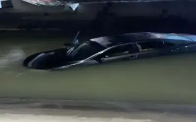 شقيق الزميل الصحفي عماد الدبك في