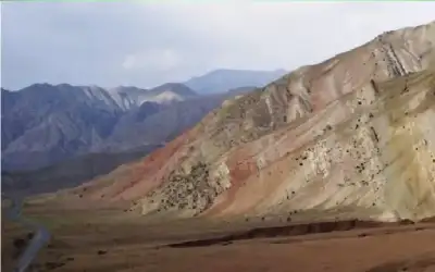 أسد يقتل حارسه في نيجيريا