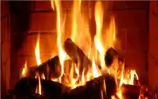 إصابة 7 أشخاص من عائلة واحدة