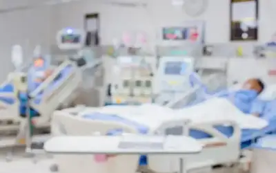 بالفيديو: فيل غاضب يهاجم سياحا جالسين