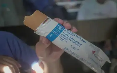 كيلو اللوز الأخضر بـ19 دينارا في