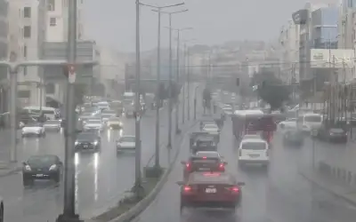 كيلو اللوز الأخضر بـ19 دينارا في