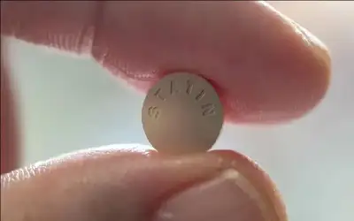 صلاح فضل: مدرسة في علم الحقيقة