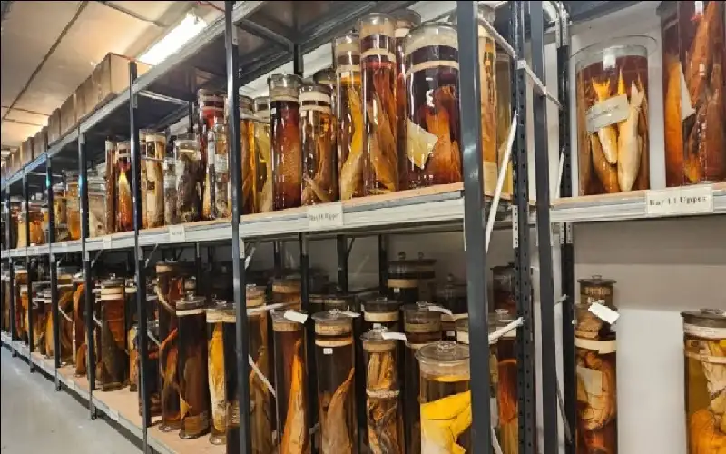 تخليل العينات.. داروين يكشف سره العلمي