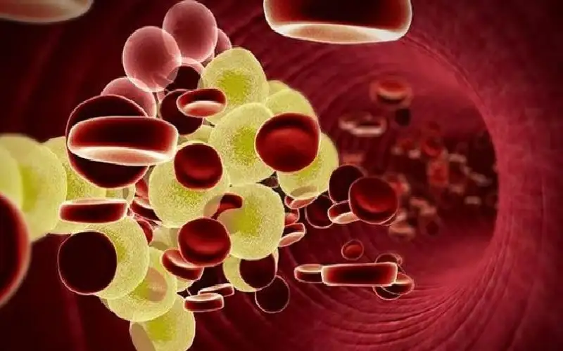 دواء فموي جديد يخفض الدهون الثلاثية