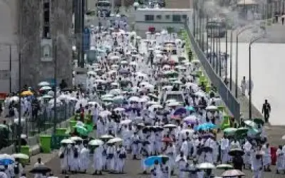 القبض على مشتبه به بتزوير 11