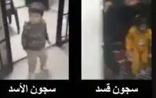 العشائر الstrongعربيةstrong السورية.. حراس السيادة وصمام