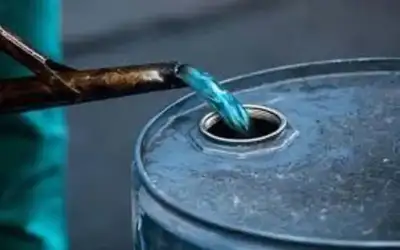 صور: أمومة وأبوة غامرة تتجلى في