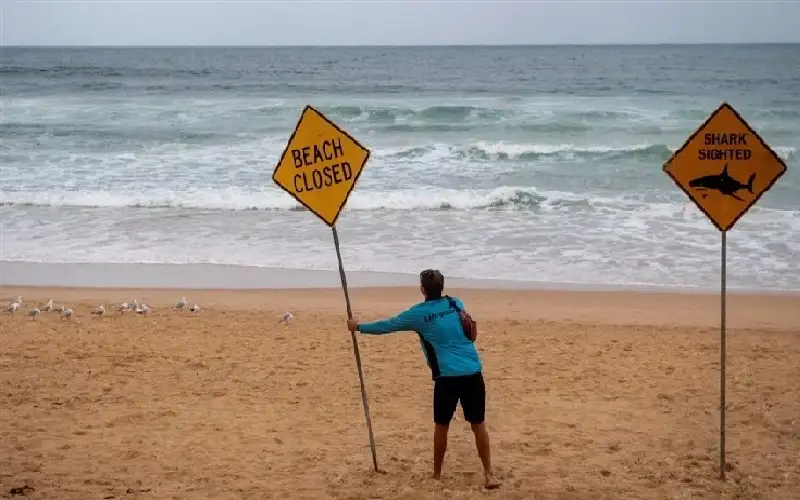 بعد سلسلة حوادث كارثية.. سيدني تغلق