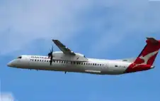 مواجهة مستحيلة في السماء.. طائر يجبر