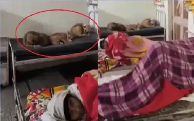 اتفاقية لدعم المشاريع المنزلية في مأدبا