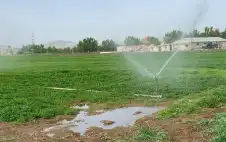 سلطة وادي strongالأردنstrong تدعو المزارعين للتحوط