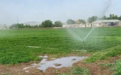 ترامب: نحاول حماية الأكراد في سوريا