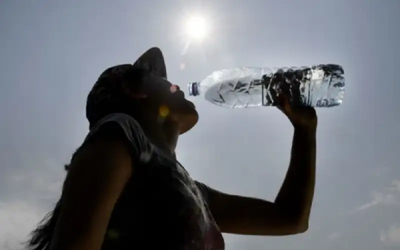 كم يجب أن تشرب من الماء