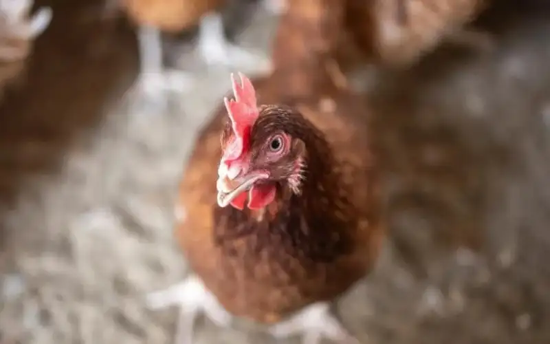 الصناعة والتجارة: لدينا فائض في إنتاج