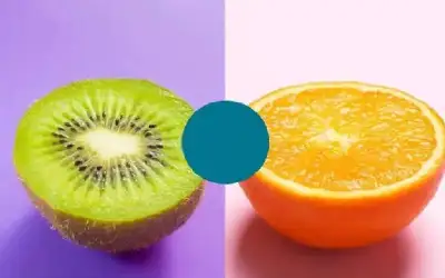 مذكرة بين الأردن ومصر لإنشاء مدينة