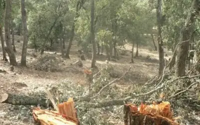 الأردن الثالث عربيا بمؤشر انتشار الذكاء