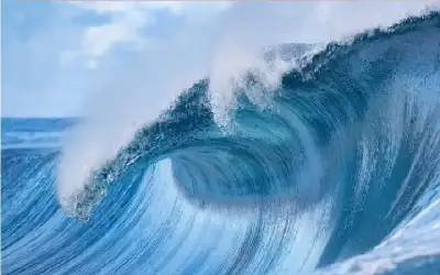 جامعة عمان الأهلية تستضيف قافلة التراث