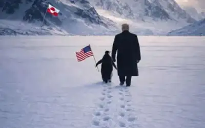 الأمطار تفجر ينابيعا في عجلون