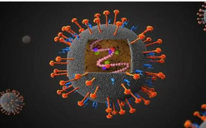 أكثر فتكا من كوفيد .. فيروس