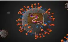 أكثر فتكا من كوفيد .. فيروس