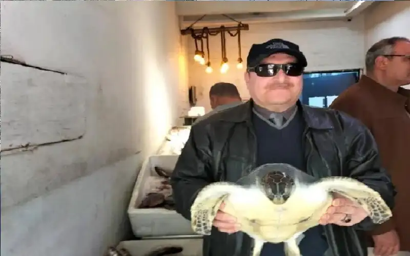 إنقاذ سلحفاة بحرية مهددة بالانقراض عالميا