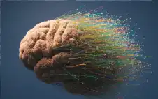 الأشخاص الأكثر عرضة للخرف