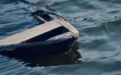 الكويت: 4 وفيات و 619 إصابة