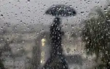 من الدرجة الأولى .. منخفض جوي