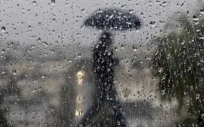 نادي السلط يشكر جامعة عمان الأهلية