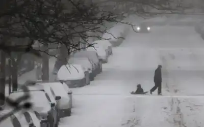 حصول مجلة البلقاء للبحوث والدراسات جامعة