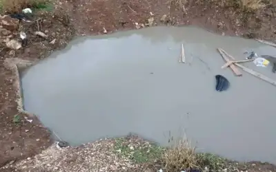 الهند تمنح فايزر براءة اختراع للقاح