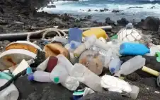 كيف سيتحول اstrongلبstrongلاستيك إلى التهديد الصحي