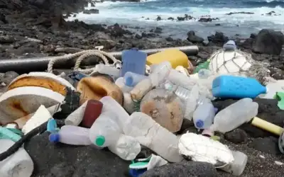 أسعار الفضة تصعد إلى مستوى تاريخي