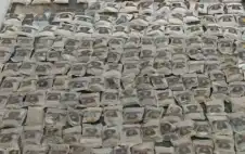 إدارة مكافحة المخدرات : 46% من