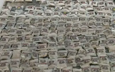 المشهد باختصار .. التوازن بين الاقتصاد