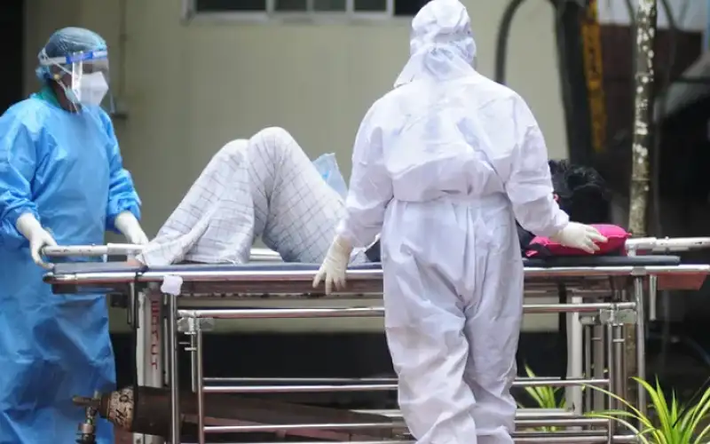 فيروس نيباه الخطير .. ما أعراضه