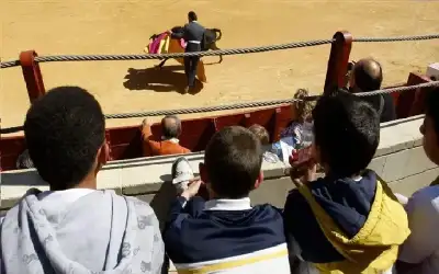 التربية: بحاجة لإنشاء 30 مدرسة جديدة