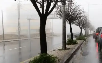 الحسن ومراكز التفكير وضرورة التغيير ـ